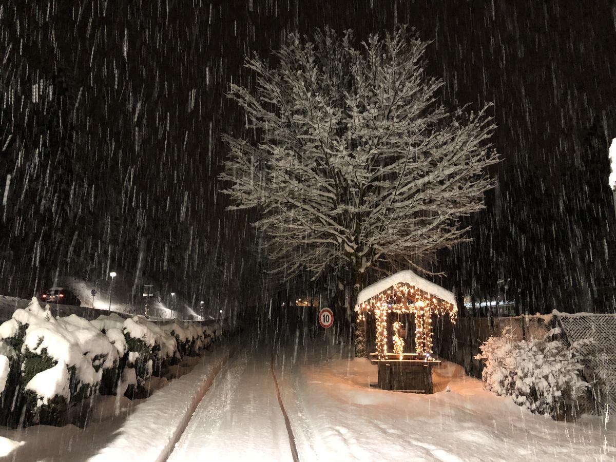 Th Borca Di Cadore - Park Hotel Des Dolomites ภายนอก รูปภาพ