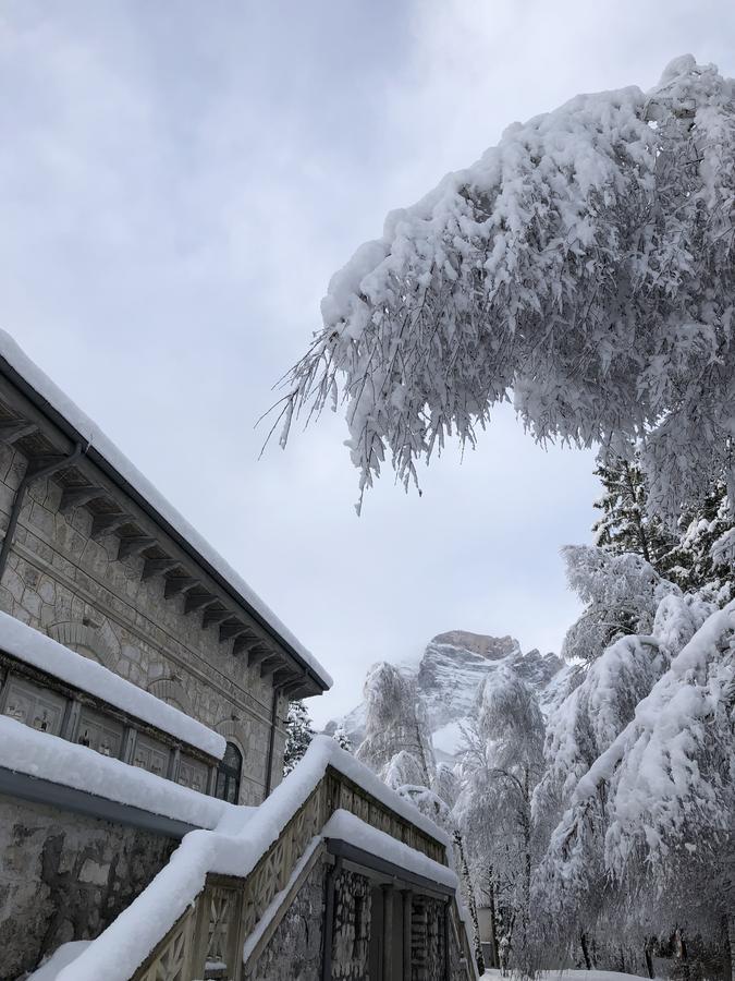 Th Borca Di Cadore - Park Hotel Des Dolomites ภายนอก รูปภาพ